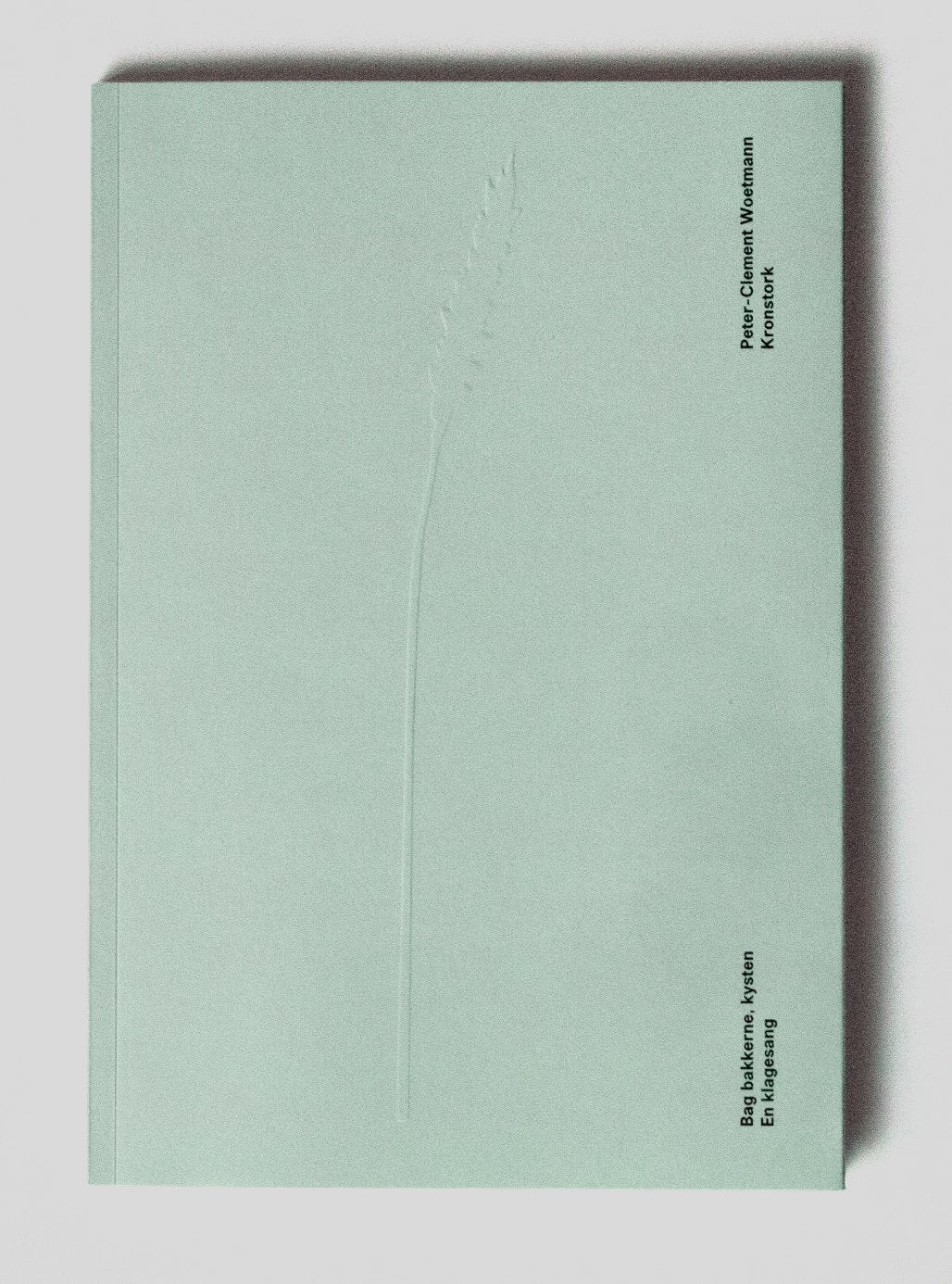 Bag bakkerne, kysten