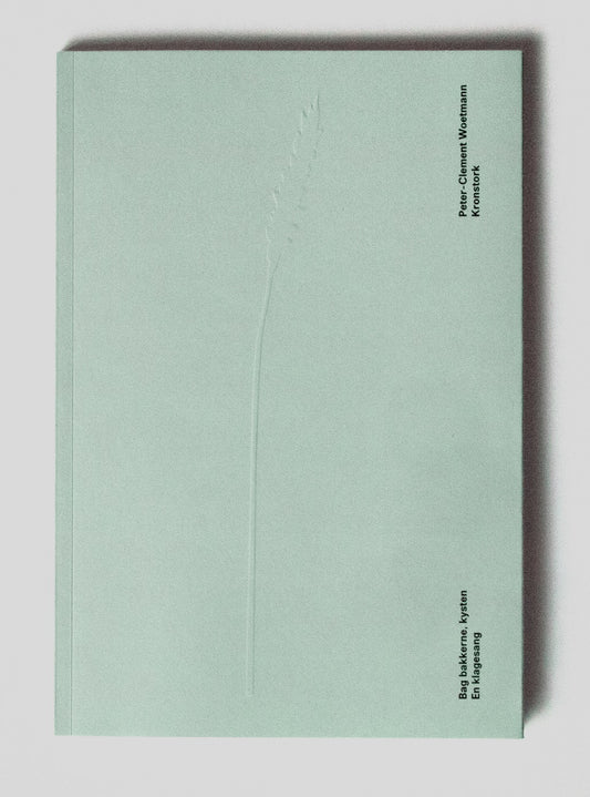 Bag bakkerne, kysten