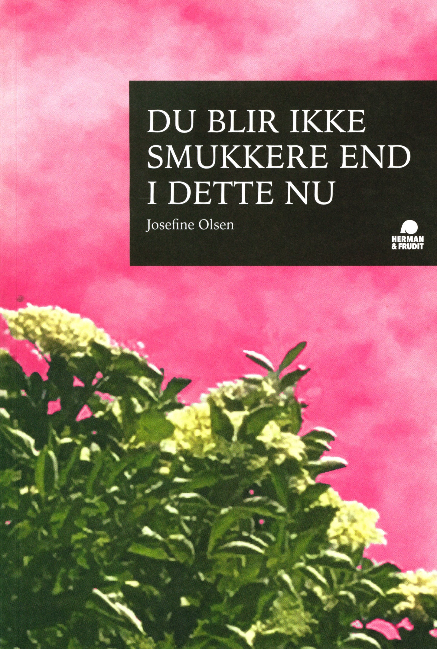 Det blir ikke smukkere end i dette nu