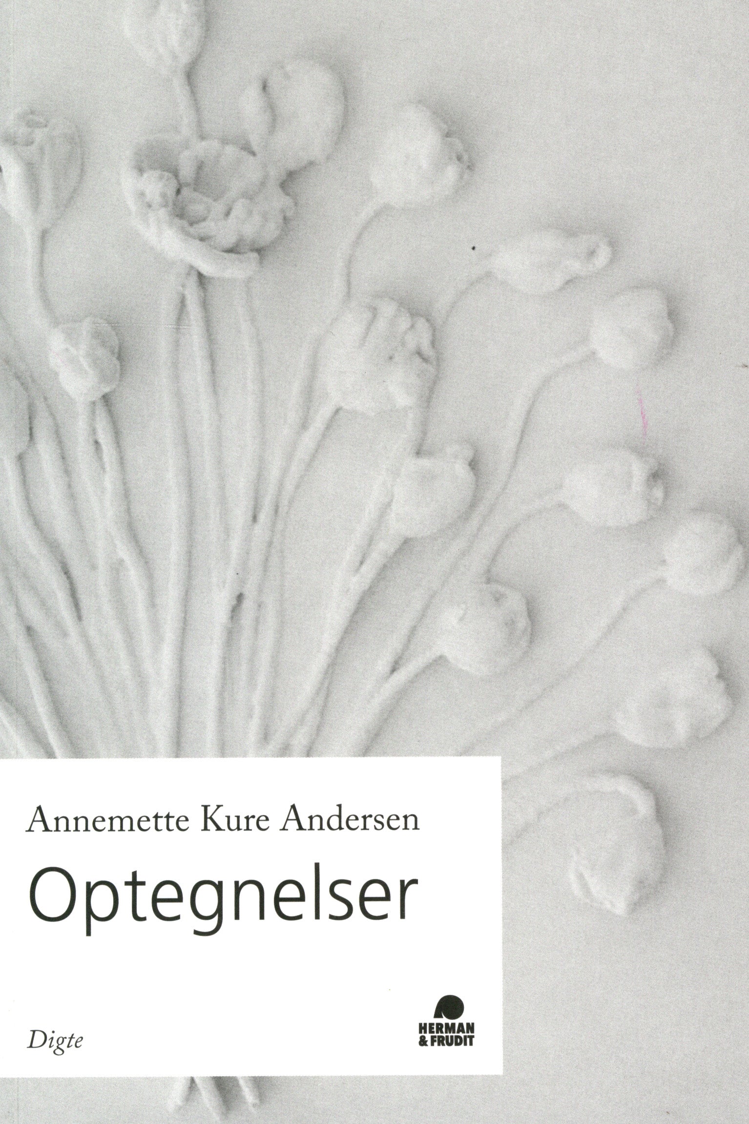 Optegnelser