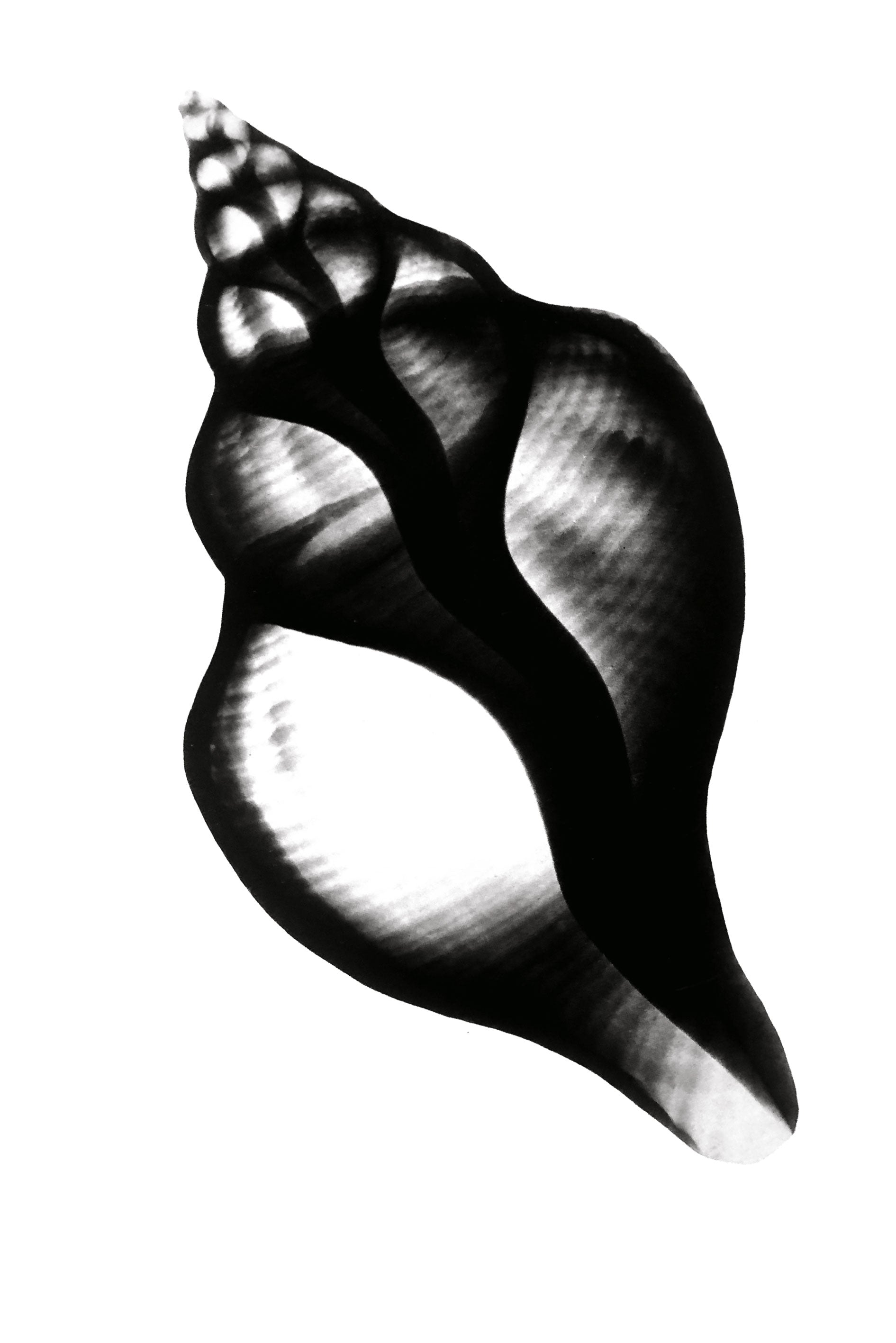 Mens jeg sover, glemmer jeg dig