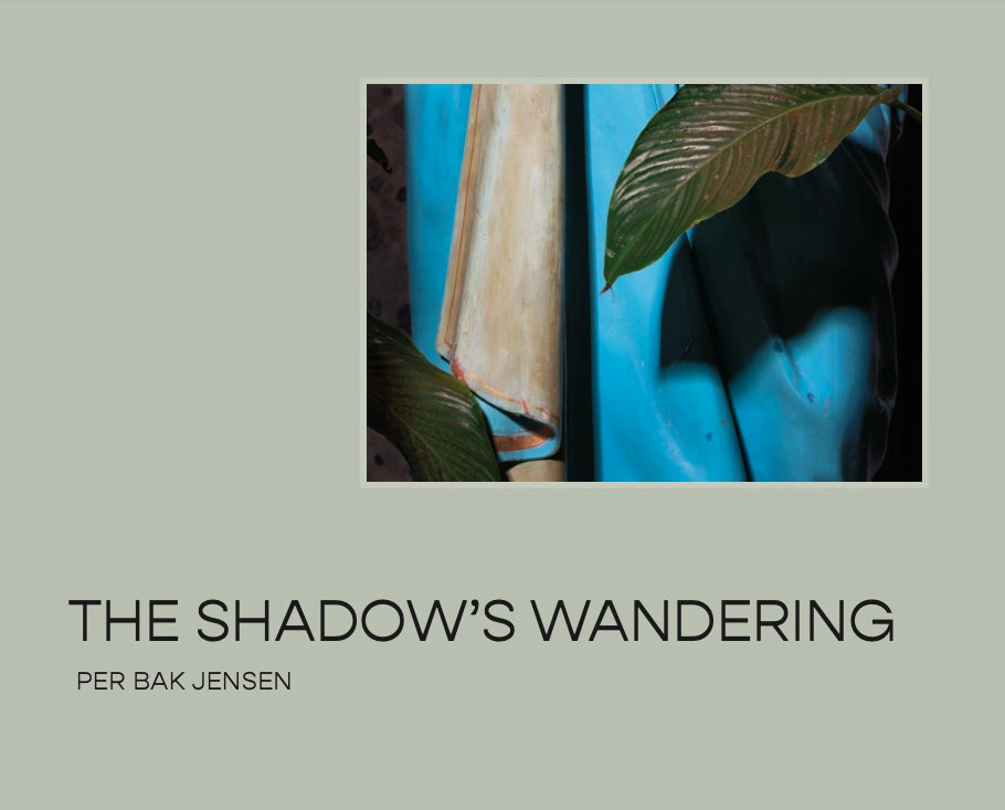 The Shadow’s Wandering