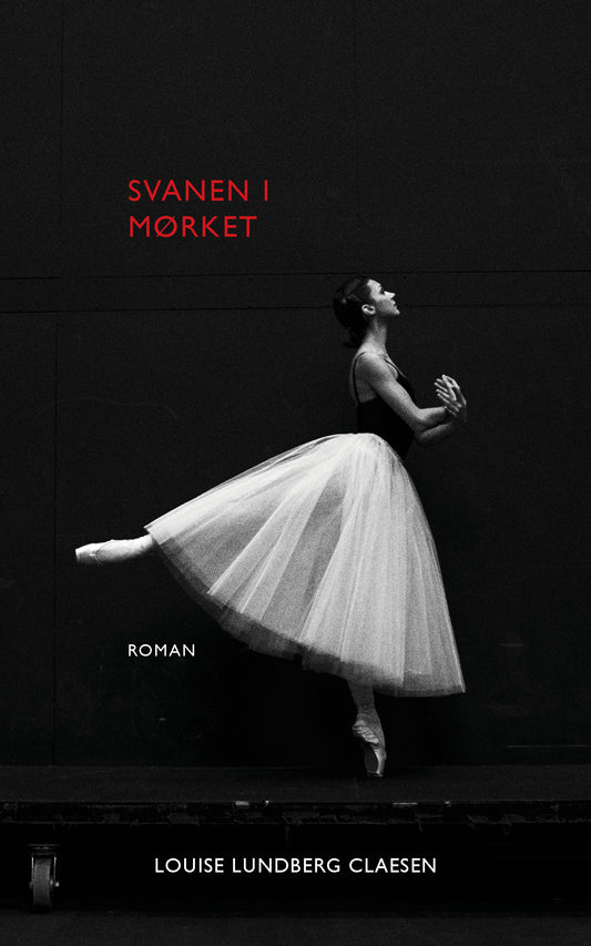 Svanen i mørket
