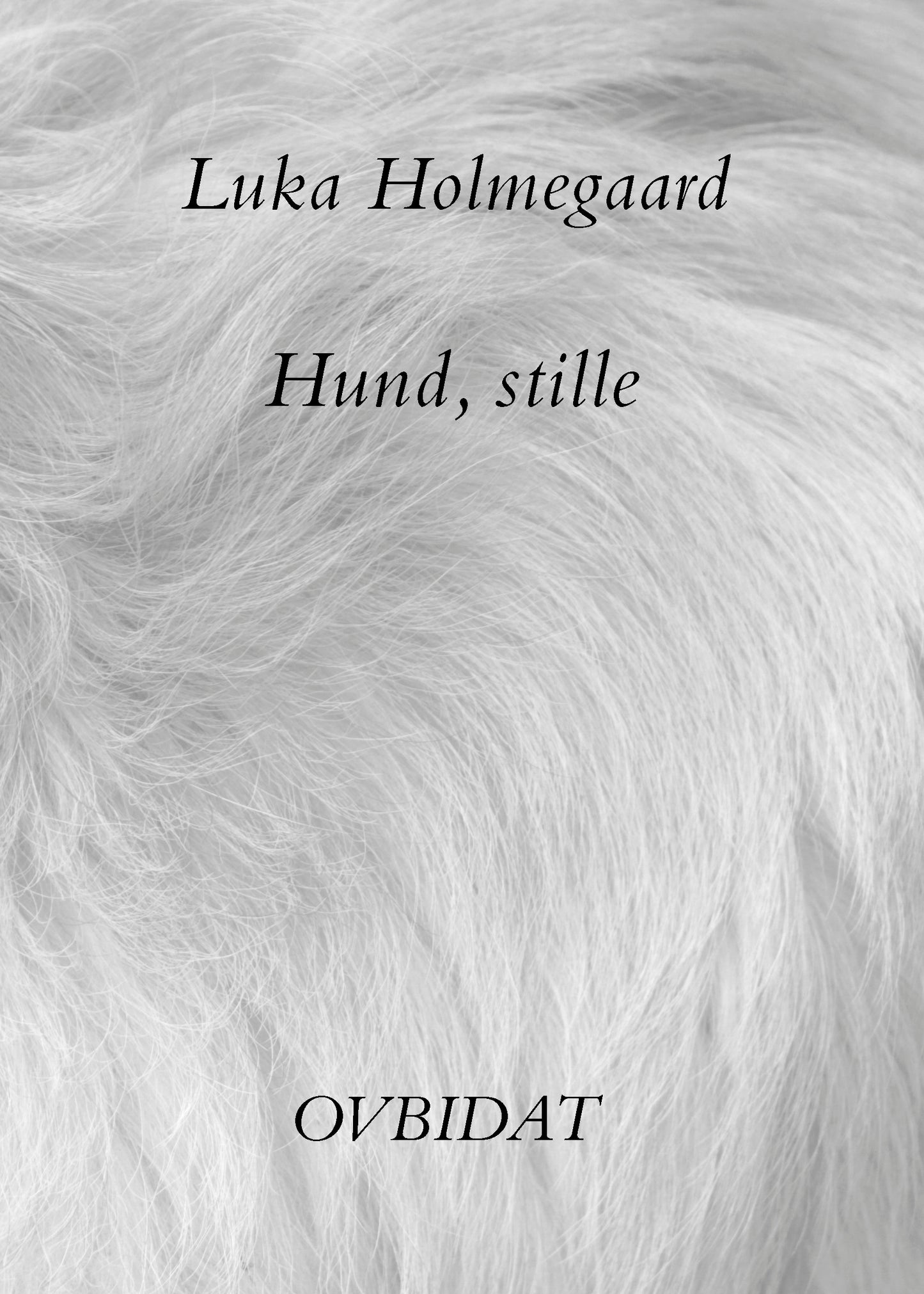 Hund, stille