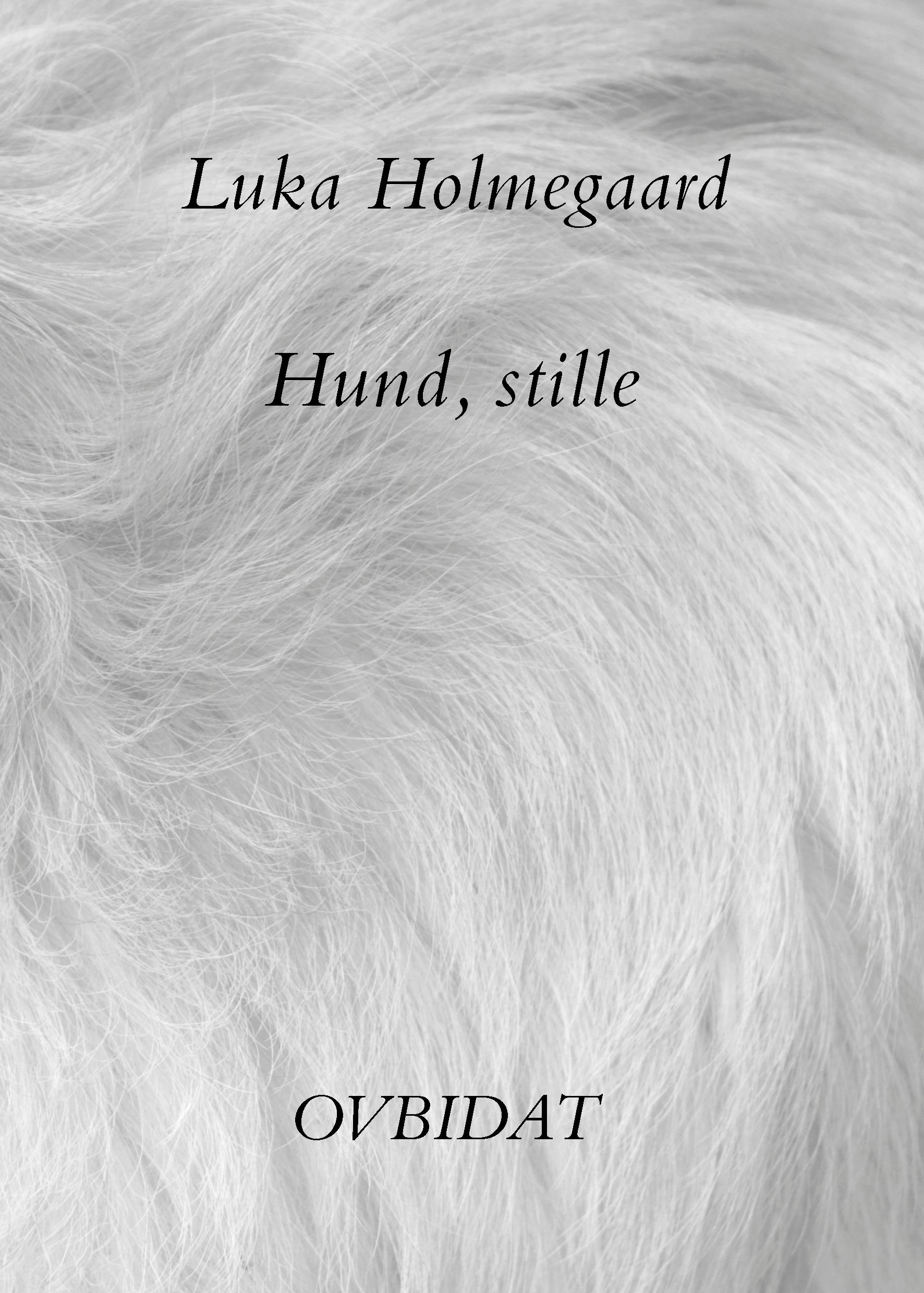 Hund, stille