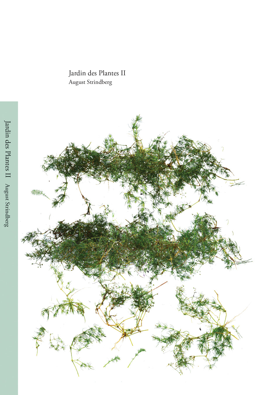 Jardin des Plantes II